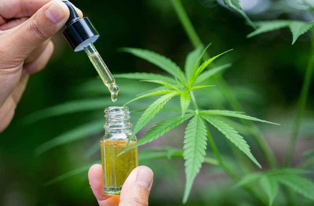 How Often Should You Consume CBD Oil in a Day? - Curelux Wellness