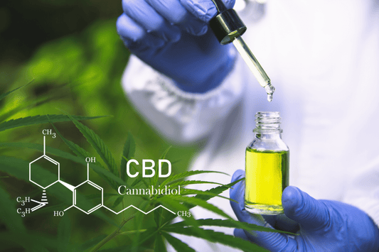 Inside the Endocannabinoid System: Understanding How CBD and THC Affect Our Bodies - Curelux Wellness