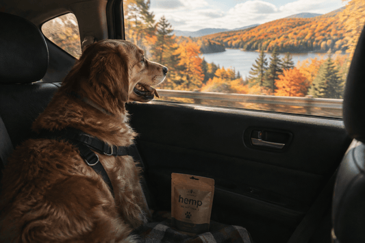 Packing CBD for Pets in Canada for Fall Road Trips - Curelux Wellness