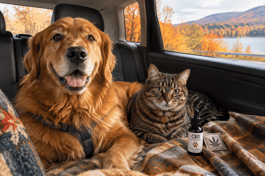 Thanksgiving Travel with CBD for Pets in Canada: Safety Checks - Curelux Wellness