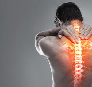 Pain & Inflammation Support