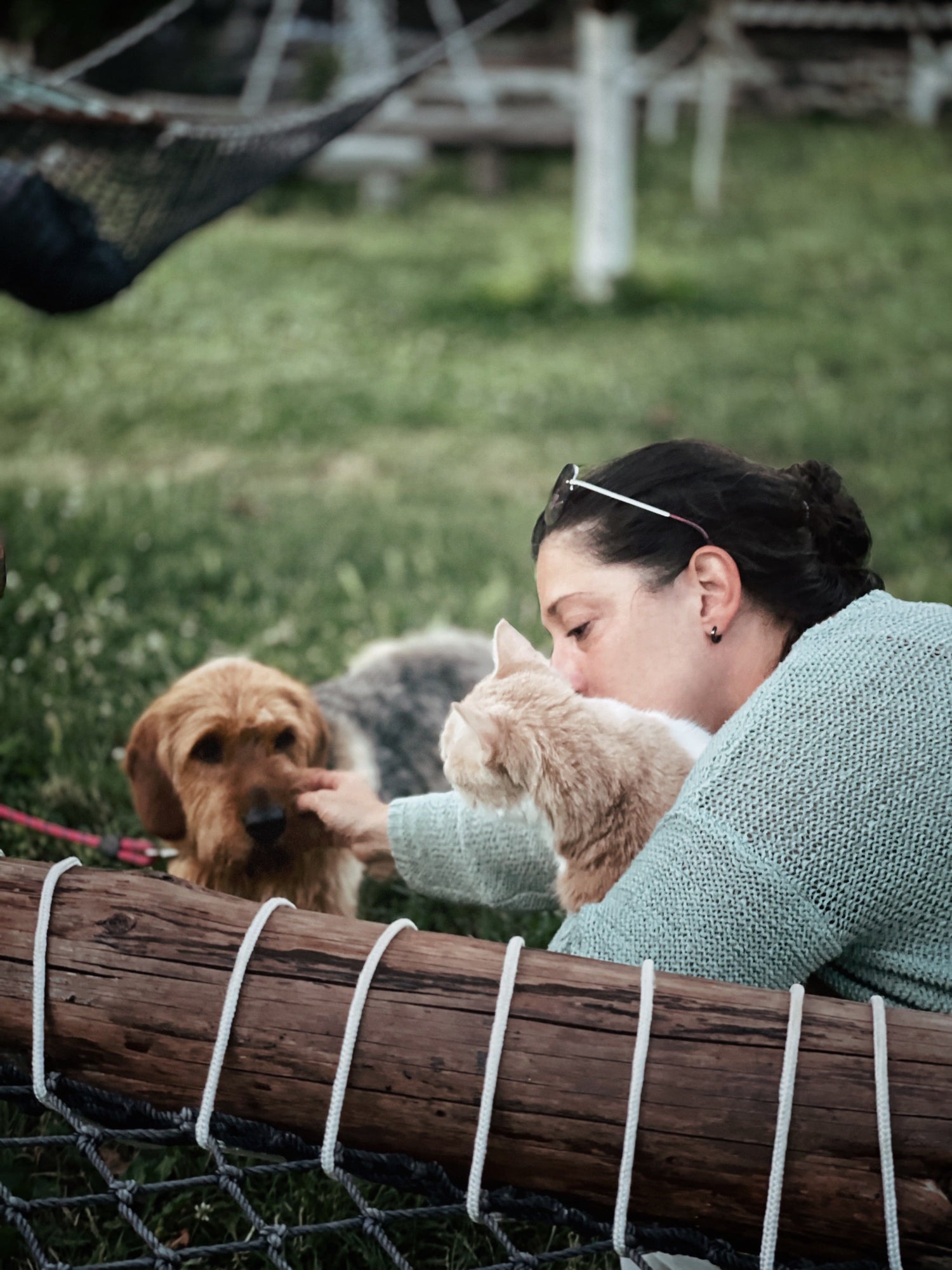 CBD for Pets - Curelux Wellness