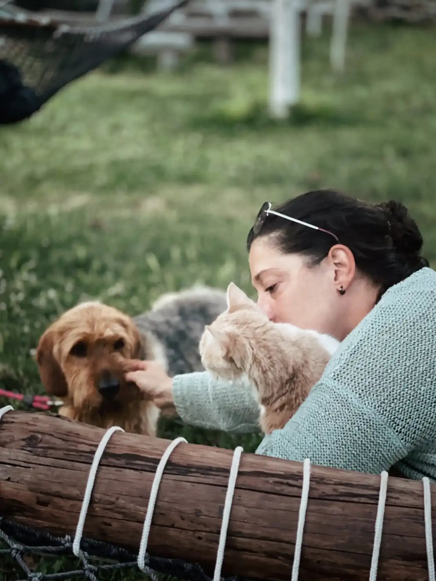 CBD for Pets - Curelux Wellness