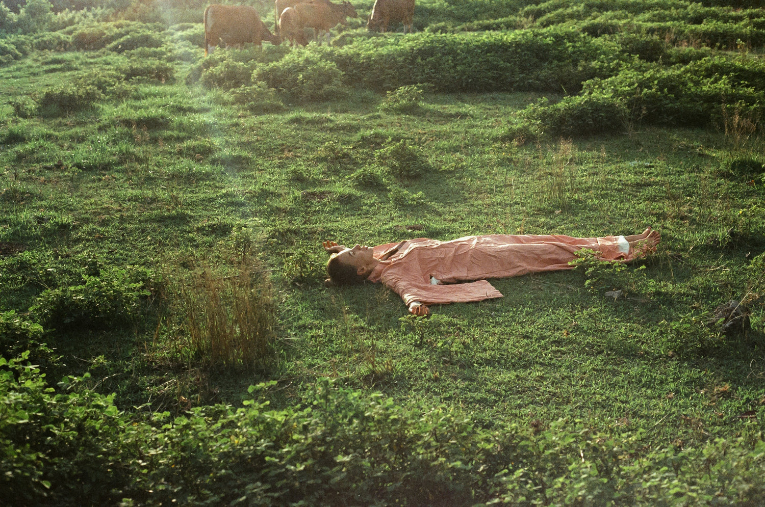 CBD for Sleep - Curelux Wellness